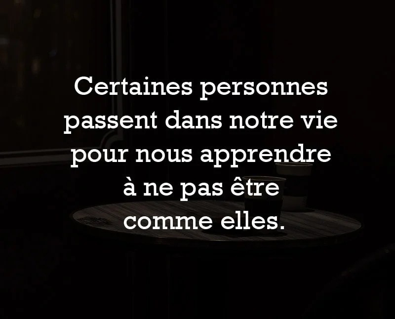 citations courtes vie apprendre