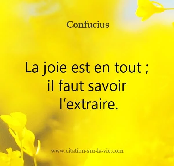 confucius-citation la joie est en tout savoir extraire 