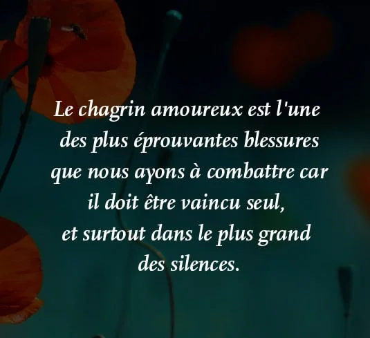 Le chagrin amoureux -citation