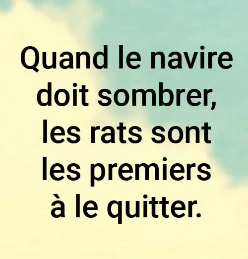 Quand le navire sombre les rats les premiers a quitter