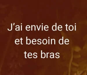 message j-ai envie de toi et de tes bras