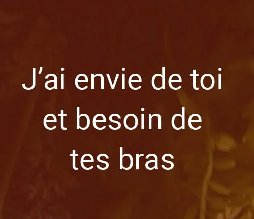message j-ai envie de toi et de tes bras