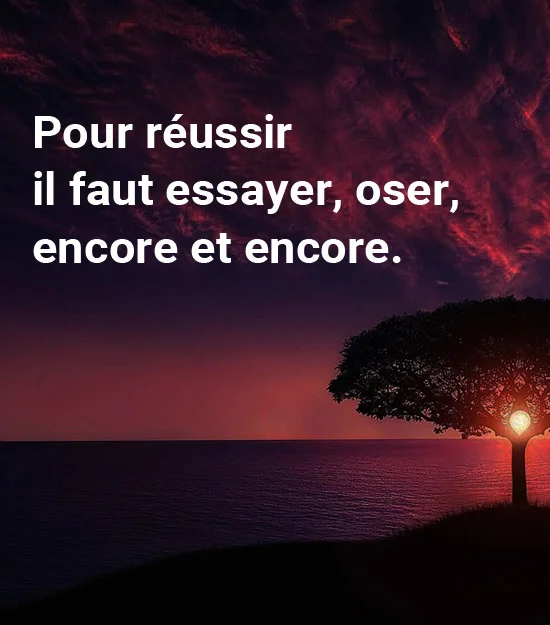 Pour reussir il faut essayer oser