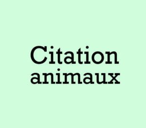 citation animaux
