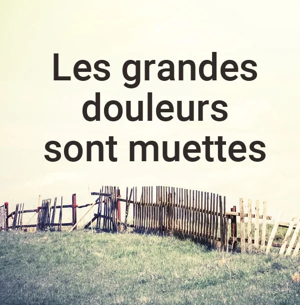 Les grandes douleurs sont muettes
