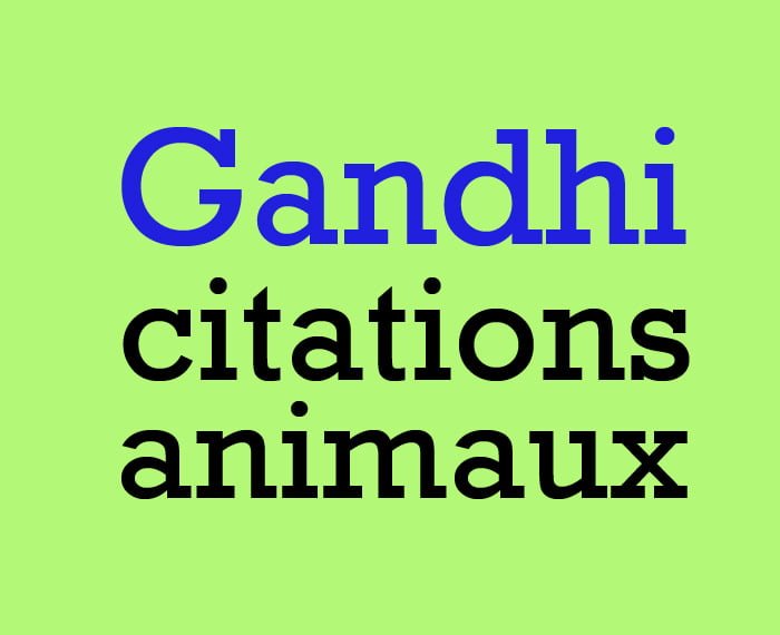 Gandhi citation animaux