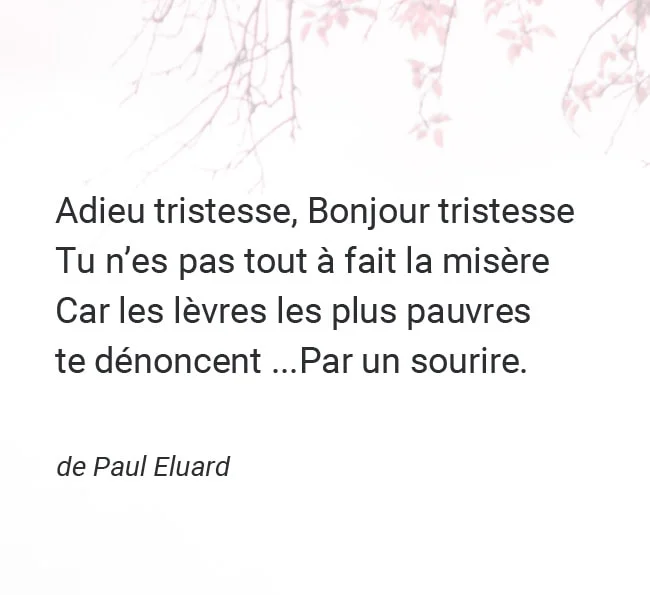 Adieu tristesse Bonjour tristesse