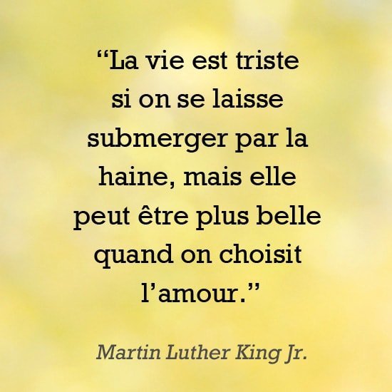 la vie est triste citation