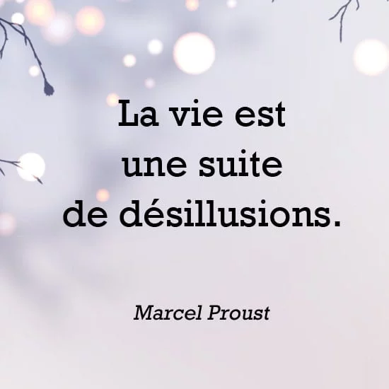 la vie est une suite de desillusion