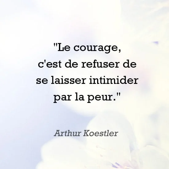 citation courage et peur