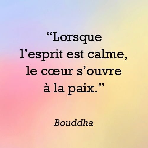 citation esprit calme