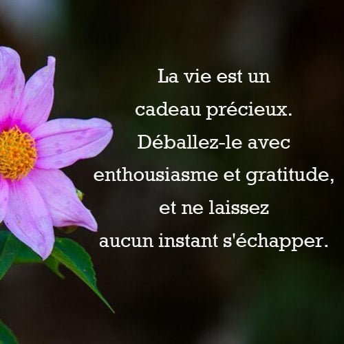 la vie est un cadeau ne laissez aucun instant s'echapper